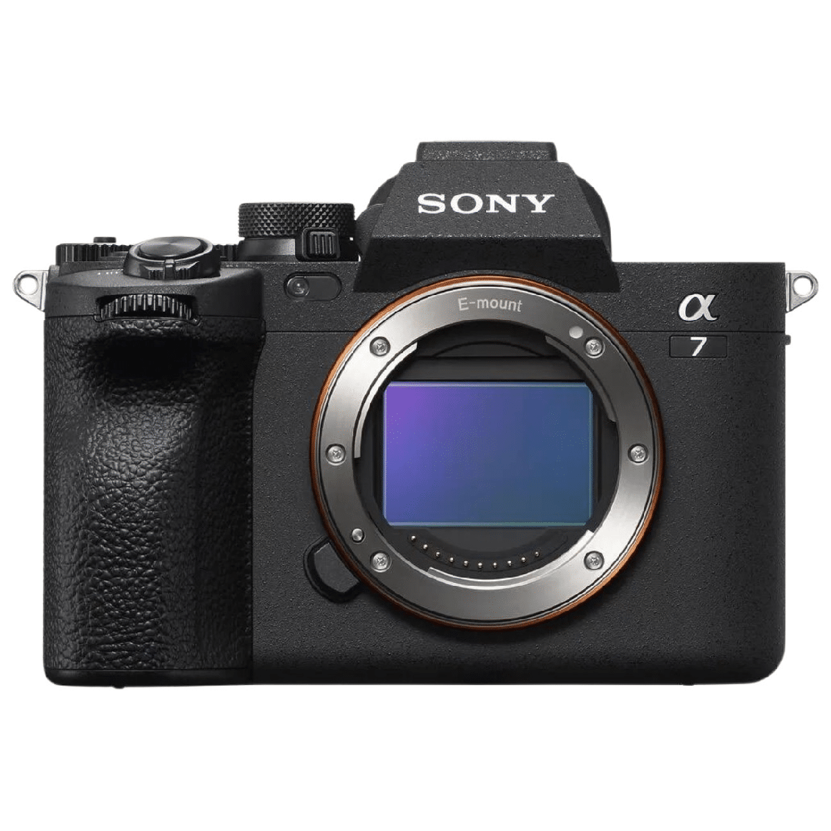 color image TLP 128992 1a1a1a 4a2e65a7 74cc 480f 96b5 ac317045ee45